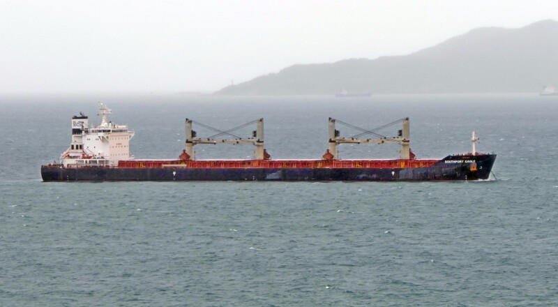 Bulkers built 2011-2020