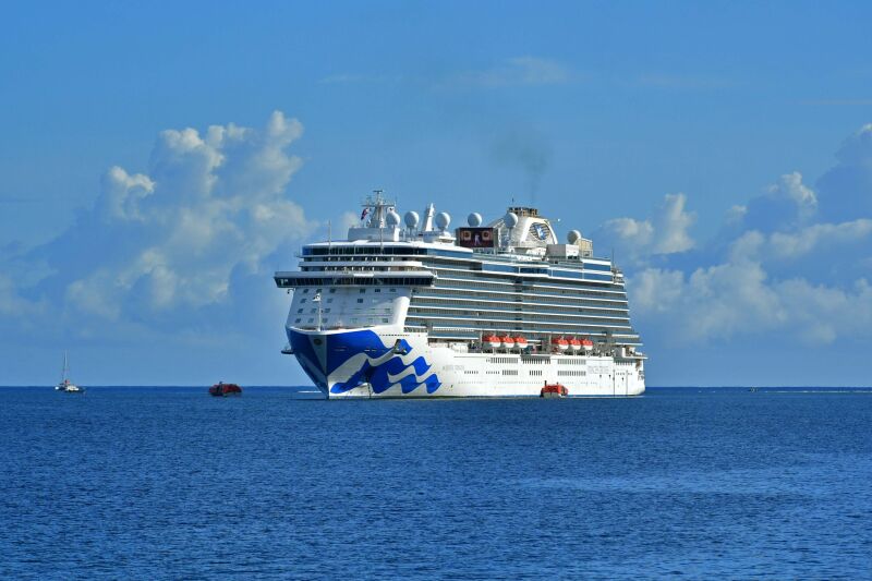 Cruise Ships and Liners built 2011-2020