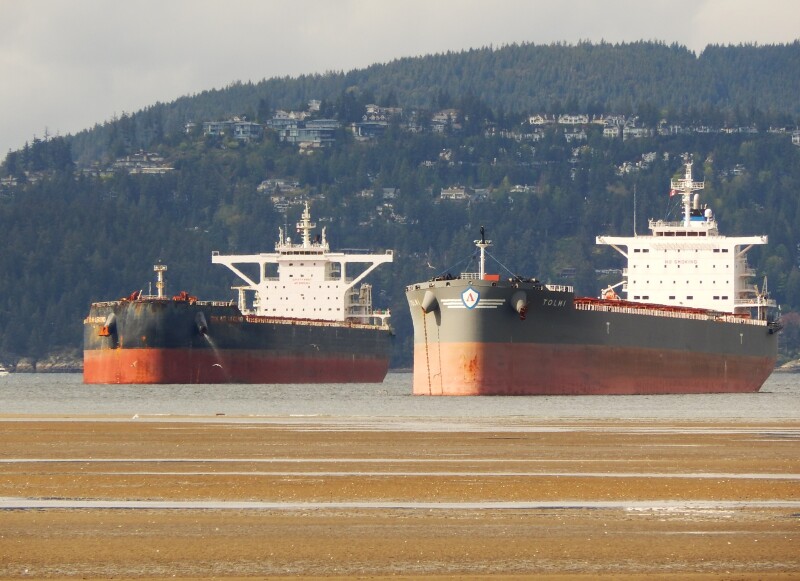 Bulkers including more than one ship