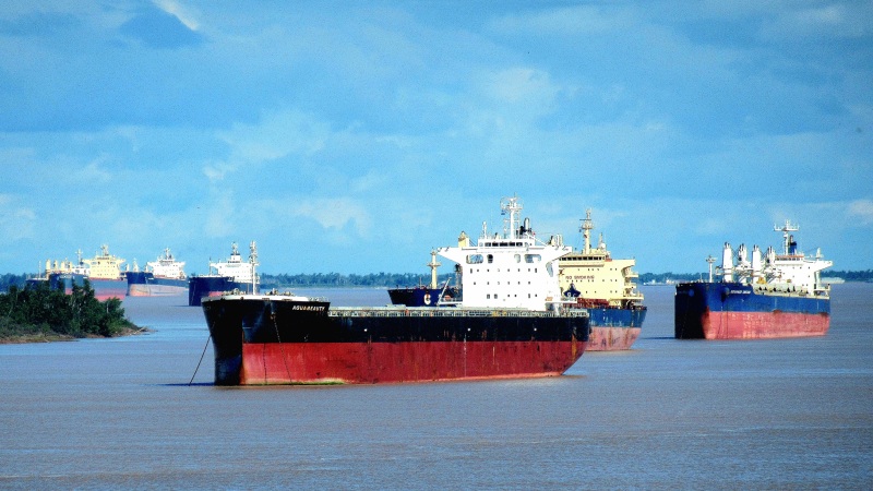 Bulkers including more than one ship