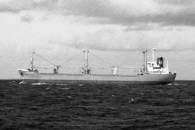 Bulkers built 1971-1980